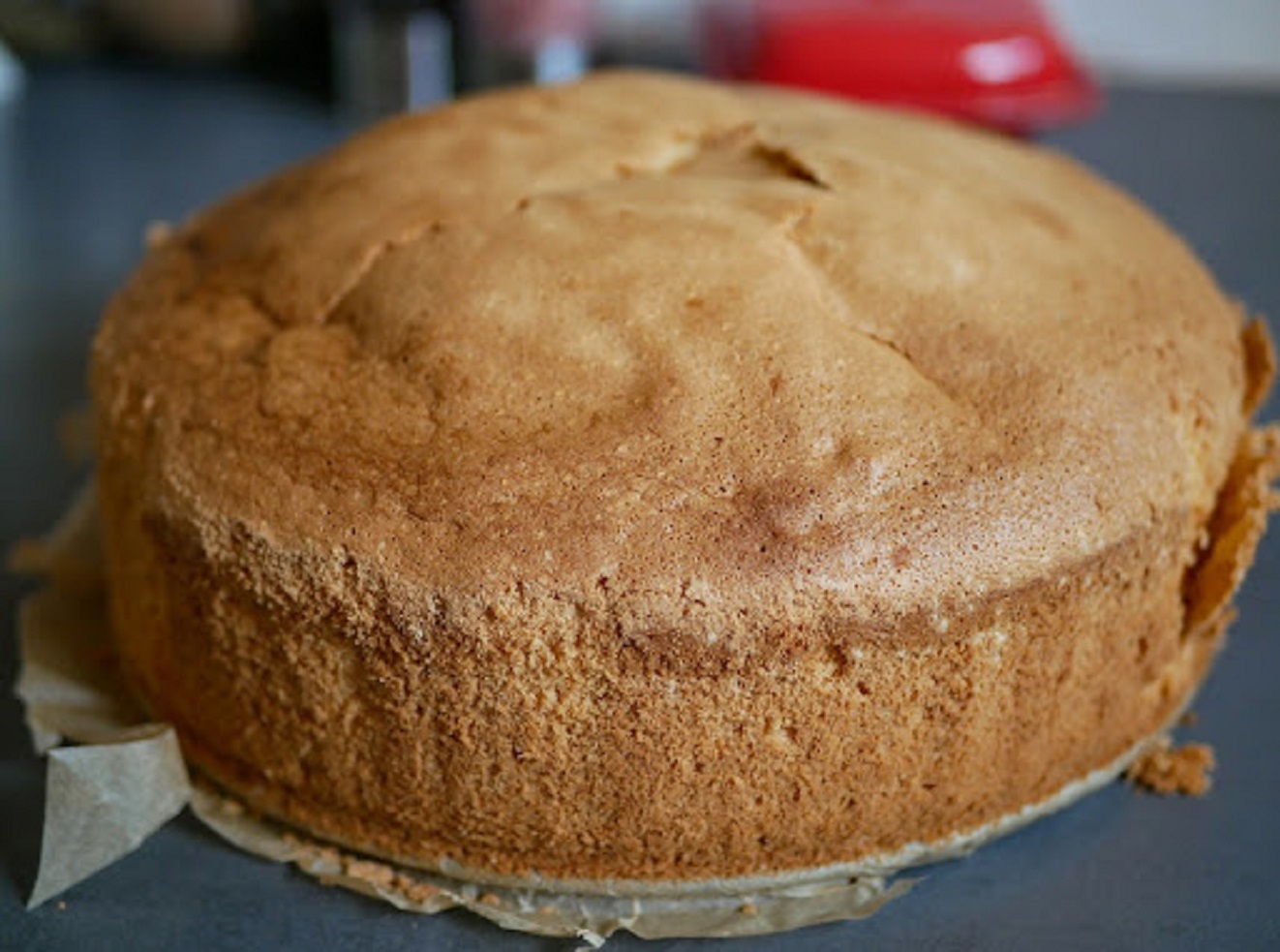 Как приготовить бисквитный торт дома: рецепт пышного торта