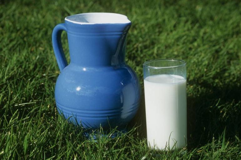 Какие есть мифы о молочных продуктах