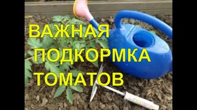 Нажми и смотри