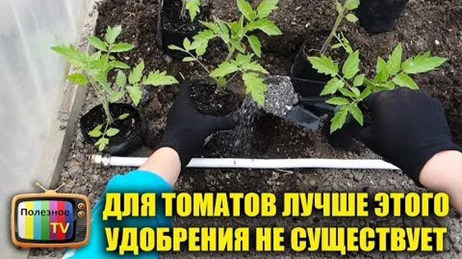 Нажми и смотри