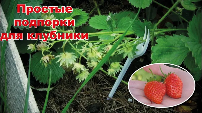 Многоярусные грядки