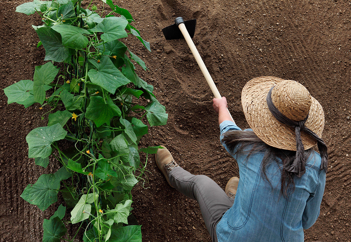 Как уменьшить кислотность почвы
