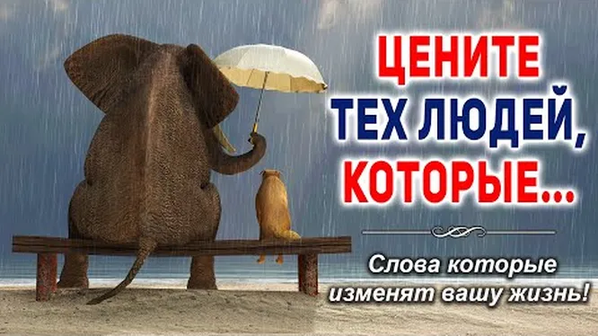 Цитаты про жить