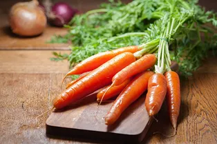 Почему морковь в Средние века называли «пищей дьявола»?