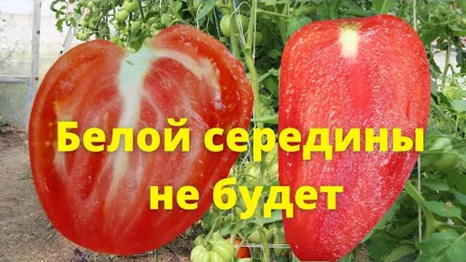 Нажми и смотри