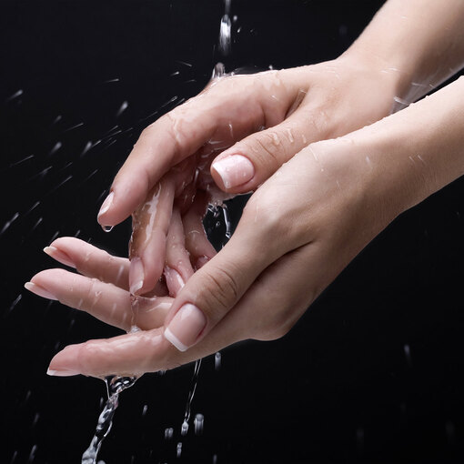 Чем отмыть руки после маслят? Самое эффективное средство растёт у вас в огороде