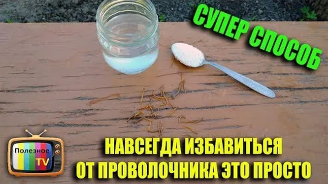 Нажми и смотри