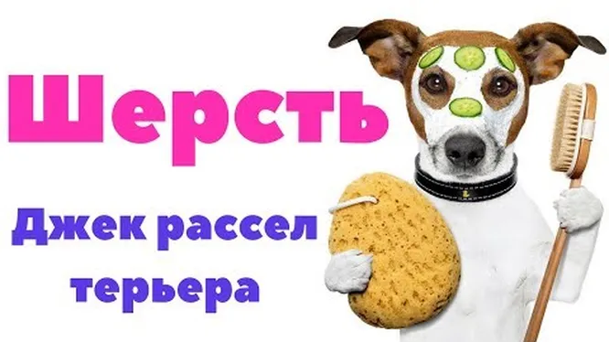 Нажми и смотри