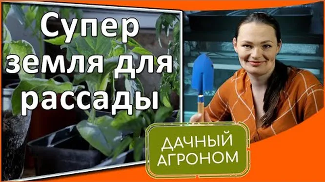 Нажми и смотри