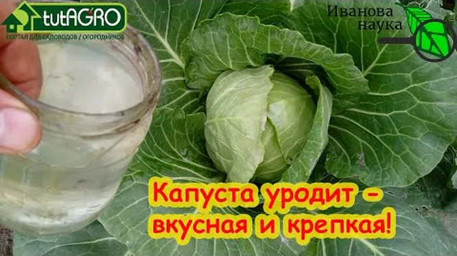 Нажми и смотри