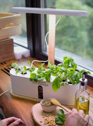 Умный сад Smart Garden, AQUA