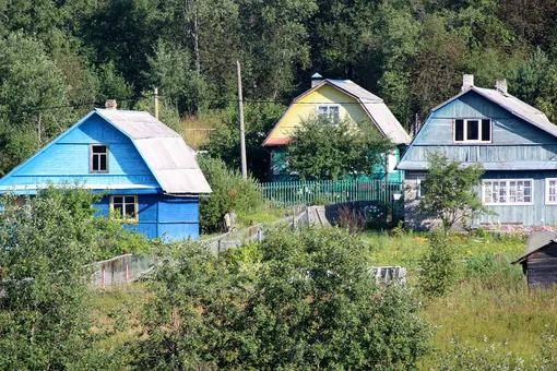 Не только свежий воздух и шашлыки: за что россияне так сильно любят дачу