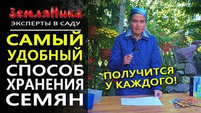 Нажми и смотри