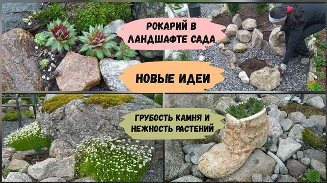 Нажми и смотри