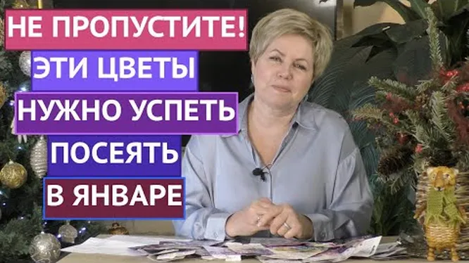 Нажми и смотри