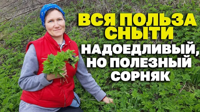 Нажми и смотри