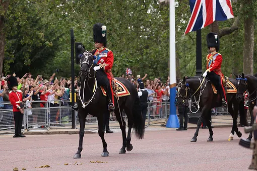 На коне: Карл III рискнул здоровьем и лично возглавил парад Trooping the Colour