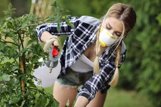 Народный рецепт средства, которое поможет избавиться от насекомых-вредителей в саду и огороде