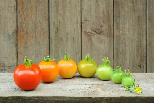 Покраснение томатов: приготовьте лучшее средство для улучшения вкуса и цвета помидоров