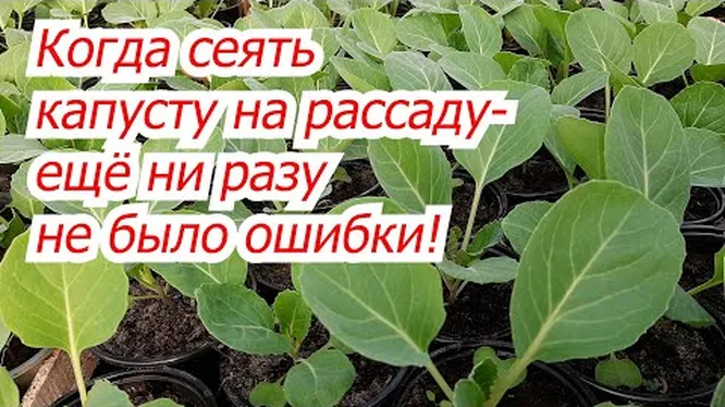 Нажми и смотри