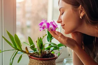 Мои хитрости для орхидей: 10 советов для красивого и долгого цветения