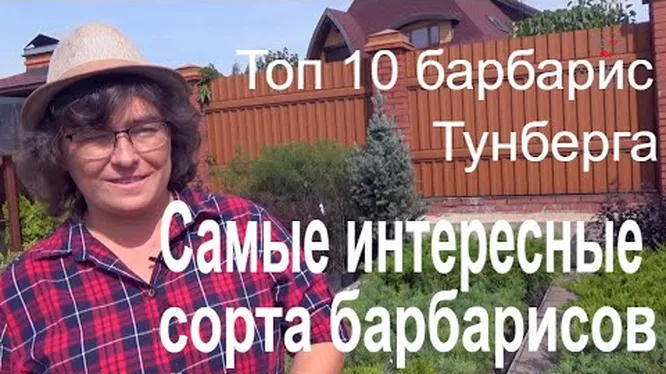 Нажми и смотри