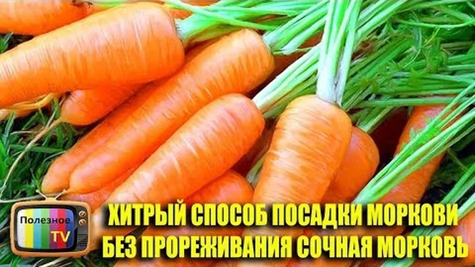 Нажми и смотри