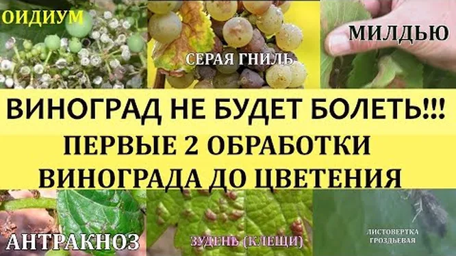 Нажми и смотри