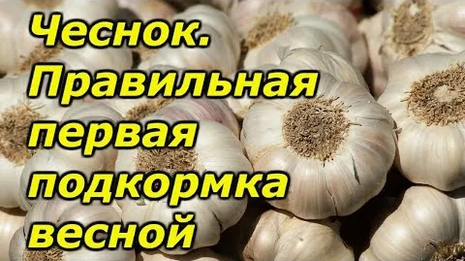 Нажми и смотри