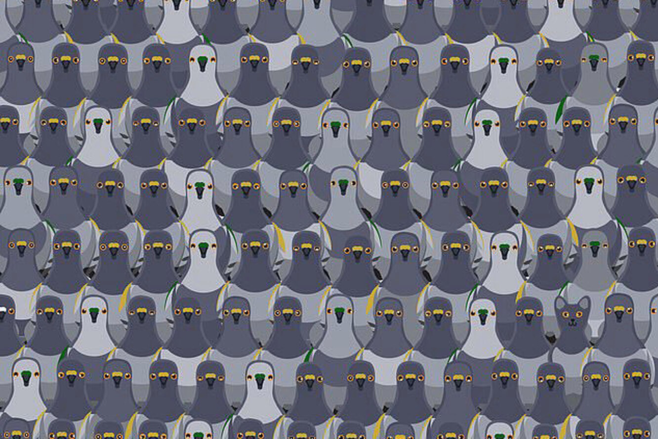 Найди среди пингвинов