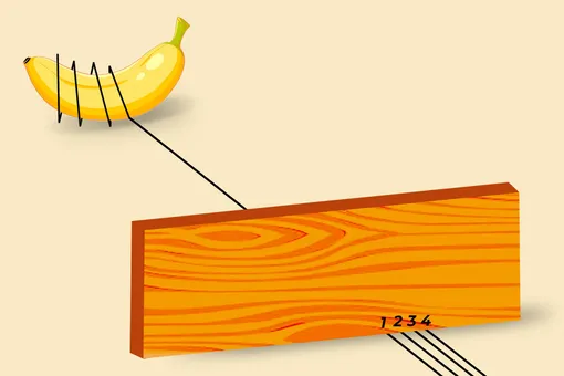 Тест на IQ: решите эту головоломку с бананом всего за 7 секунд