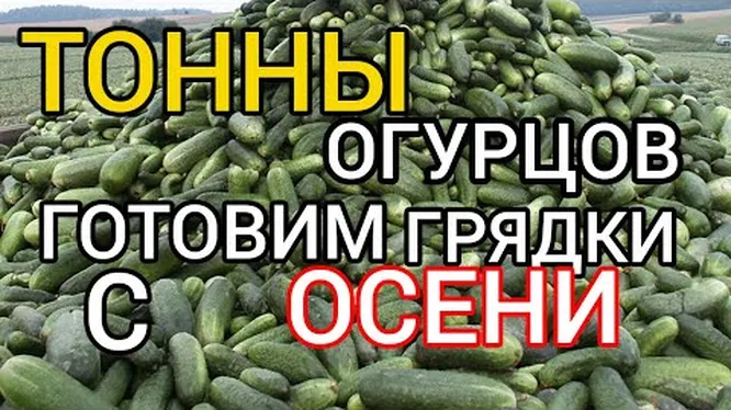 Нажми и смотри