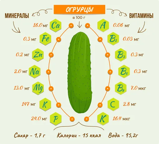 Уникальные питательные свойства огурцов