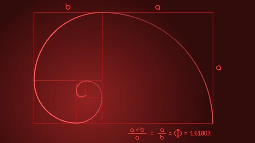 Правило золотого сечения — это ключ к пониманию красоты и гармонии