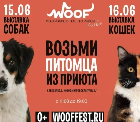 Фестиваль WOOF