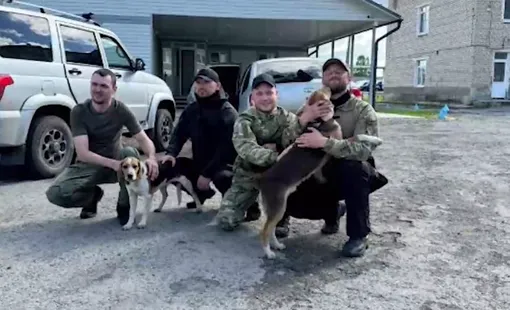 Вика и Гриша благодарны своим биглям за спасение жизни