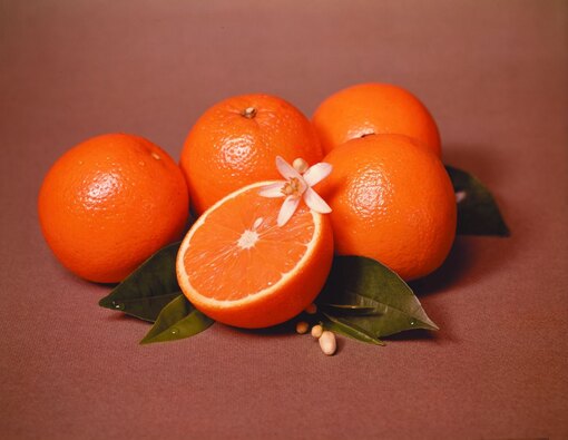 Как вырастить апельсин: уход и важные моменты - Vse Roste