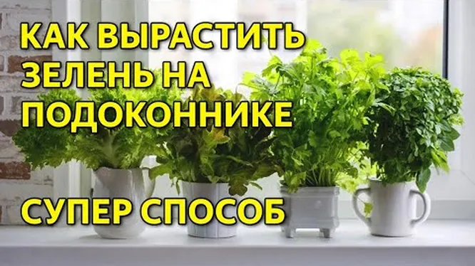 Нажми и смотри