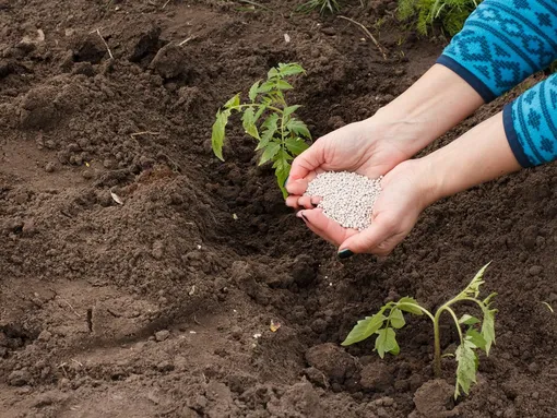 Чрезмерное внесение удобрений