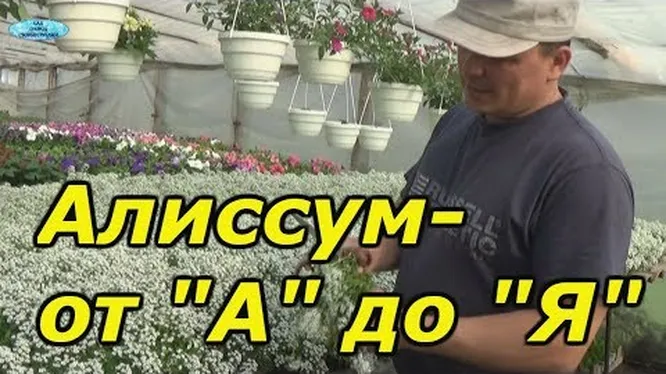 Нажми и смотри