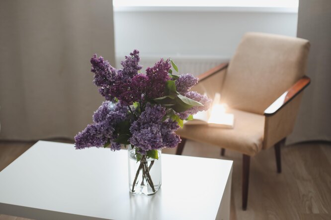 Комнатные цветы в интерьере: 20 примеров размещения | цвета дома, интерьер, комнатные цветы
