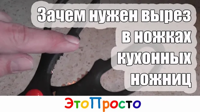 Нажми и смотри