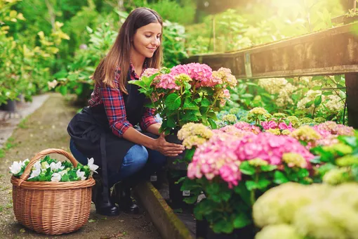 С чего начать работу в саду: 10 советов тем, кто решил стать садоводом и не знает, что делать в первую очередь