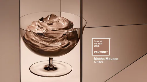 Mocha Mousse («мокко мусс») – цвет 2025 года по версии Pantone