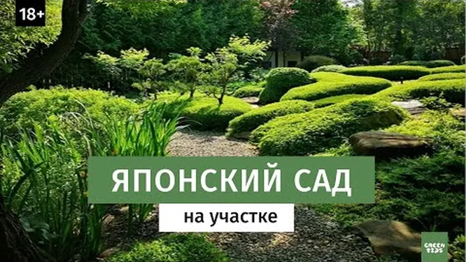 Нажми и смотри