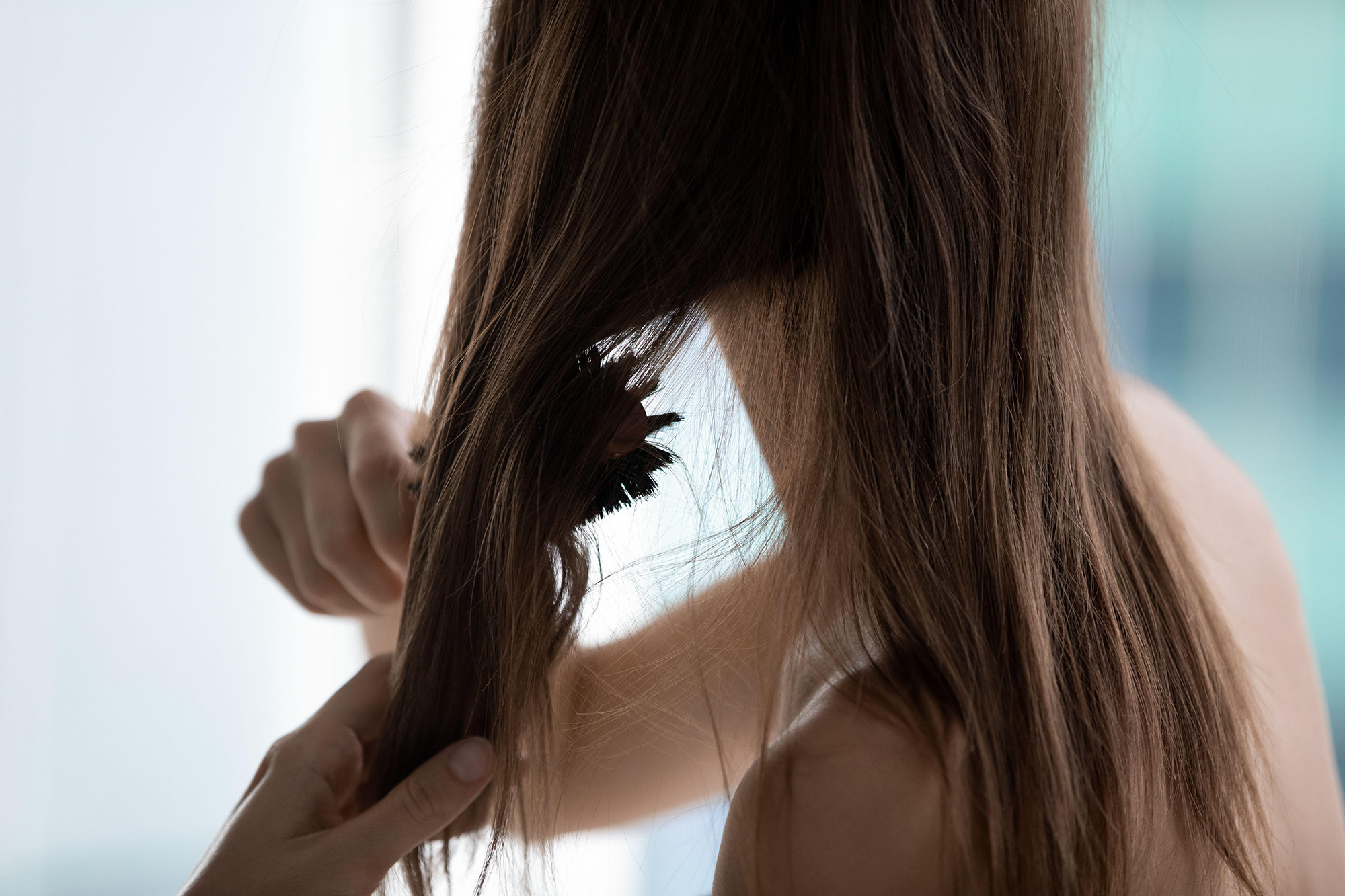 Ломкость и сухость волос: как бороться?