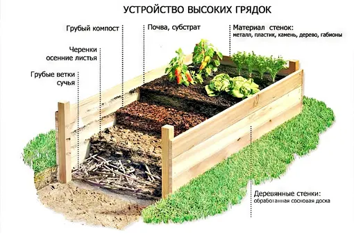 Грядки на даче. Различные варианты оформления грядок с фото