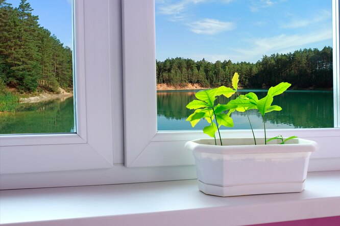 10 видов зелени для выращивания на балконе: домашний огород
