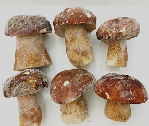 Как готовить белые грибы
