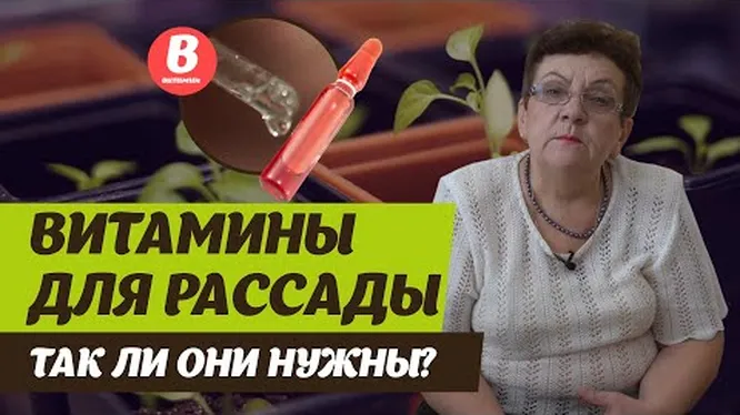 Нажми и смотри